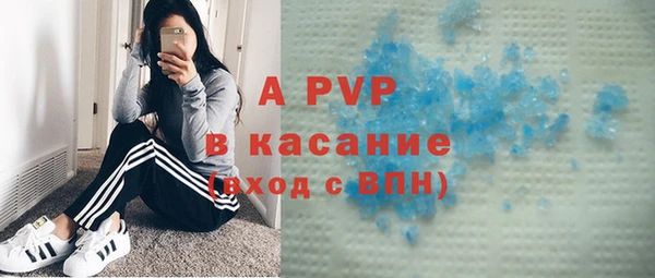 твердый Надым