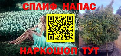 марки nbome Дубна