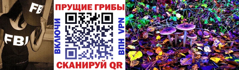 Галлюциногенные грибы GOLDEN TEACHER  OMG онион  Новодвинск 