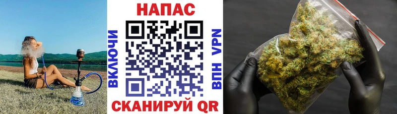 МАРИХУАНА конопля  Новодвинск 
